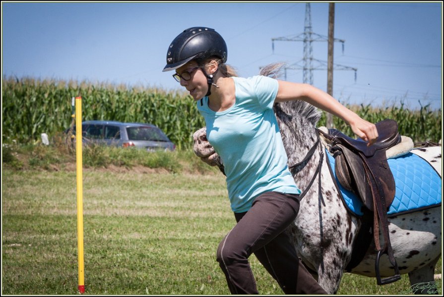 Mounted Games 120